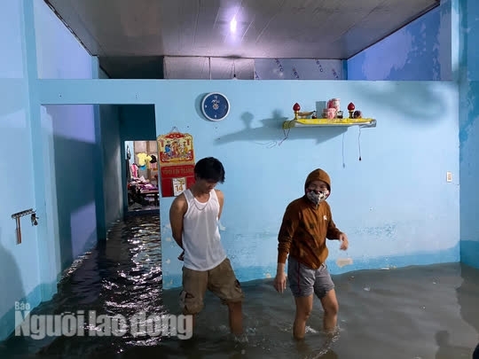 7 Khu Dan Cu Ngap Sau Giua Trung Tam Da Nang