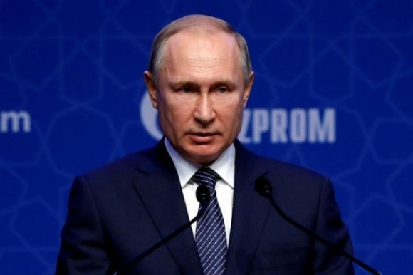 1 Tong Thong Putin Ly Giai Con Ho Bat Chot Khi Dang Hop Truc Tuyen