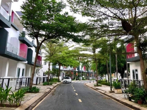 1 Rot Tien Ti Dau Tu Nha Pho Day La Cach Gioi Dau Tu Lao Luyen Van Thuong Loi Bac Ti