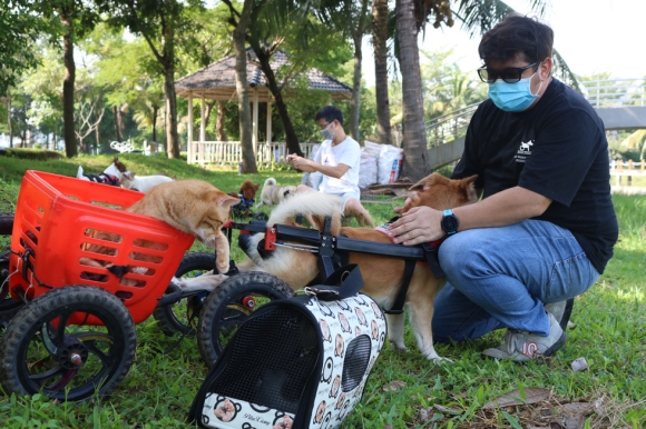 2 Cap Doi Vo Viet Chong Tay Lam Xe Lan Cho Cho Meo Khuyet Tat O Sai Gon