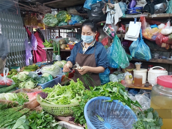 2 Ha Noi Gia Rau Xanh Tang Chong Mat Co Loai Len Den 170000 Dongkg Dat Hon Ca Thit Lon