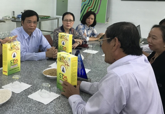 1 Gao Thom Viet Nam Se Mat Co Hoi Thi Gao Ngon Nhat The Gioi