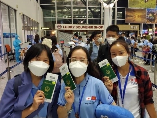 2 Xuat Khau Lao Dong Canh Cua Bi Dong Kin Boi Covid 19 Da Dan Mo