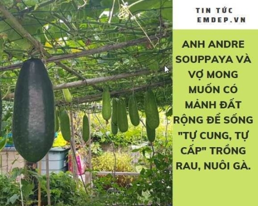 3 Nguoi Dan Ong Goc Viet Lam Gian Muop Bi Trong Rau Nhu O Que Nha Giua Dat Phap