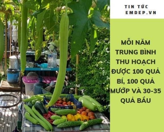6 Nguoi Dan Ong Goc Viet Lam Gian Muop Bi Trong Rau Nhu O Que Nha Giua Dat Phap