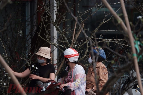 9 Chua Den Tet Dao Da Duoc Ban Tren Duong Pho Ha Noi