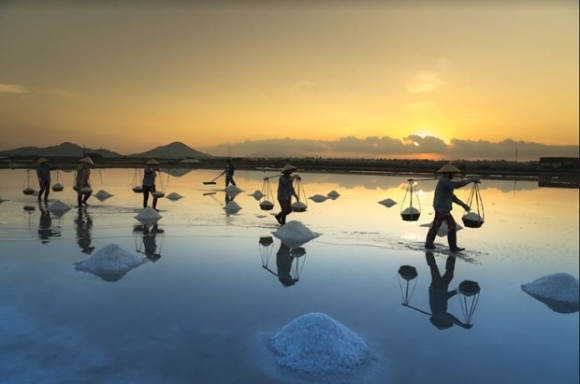 2 Ngo Ngang Voi Ve Dep Trang Le Cua Nhung Canh Dong Muoi O Ninh Thuan