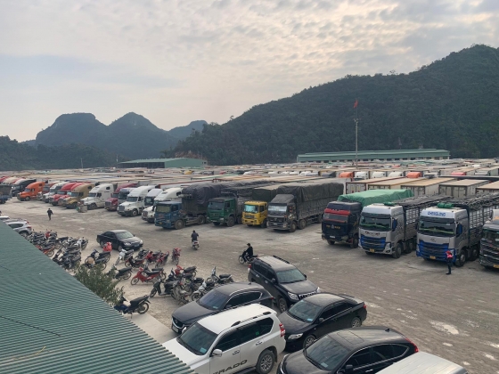 1 Hon 5000 Xe Hang Tac O Cua Khau Bo Ra Khuyen Cao Khan