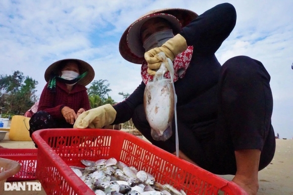 12 Bam Bien Vai Tieng Ngu Dan Thu Tien Trieu Nho Ngon Nghe Tay Trai