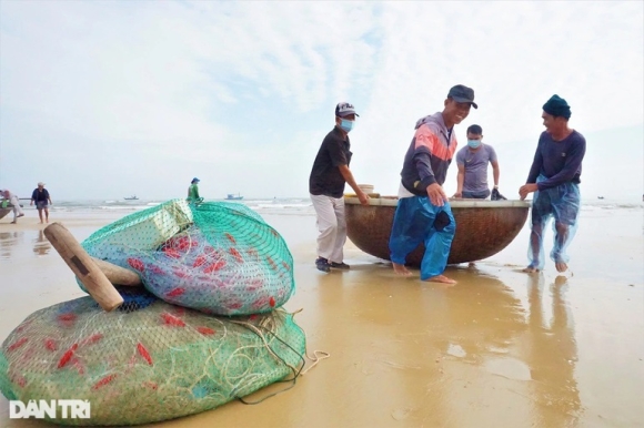 1 Bam Bien Vai Tieng Ngu Dan Thu Tien Trieu Nho Ngon Nghe Tay Trai