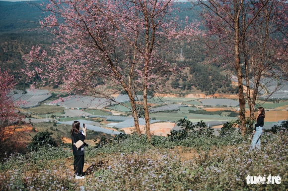 4 Mai Anh Dao Da No Khap Da Lat