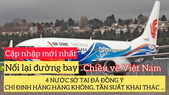 1 4 Nuoc Dong Y Noi Lai Duong Bay Quoc Te Voi Viet Nam