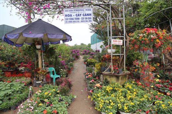 2 Hoa Tet Tran Ngap Cac Nha Vuon O Nghe An Nhung Vang Khach Mua Hang