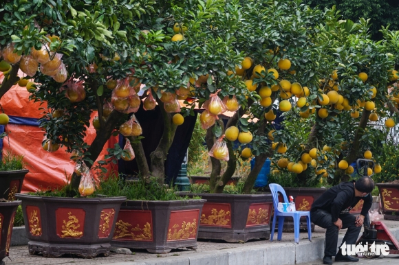 4 Dao Hoa Da Ngap Pho Ha Noi 10 Nguoi Ban 1 Nguoi Mua