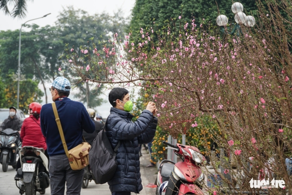 6 Dao Hoa Da Ngap Pho Ha Noi 10 Nguoi Ban 1 Nguoi Mua