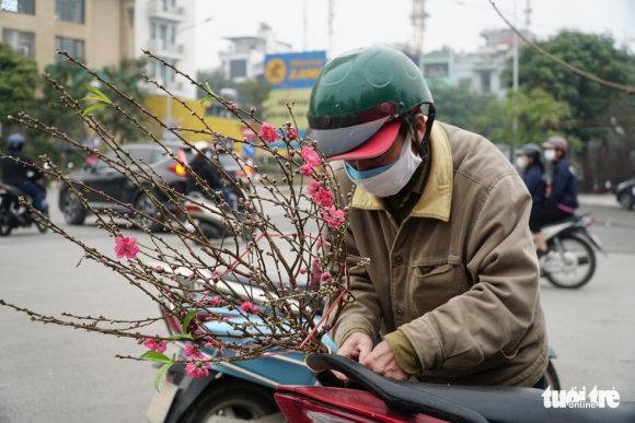 7 Dao Hoa Da Ngap Pho Ha Noi 10 Nguoi Ban 1 Nguoi Mua