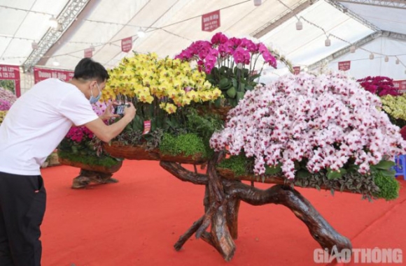 6 Chau Lan Ho Diep Khong Lo Gay Sot Voi Gia Hon 860 Trieu O Ha Noi
