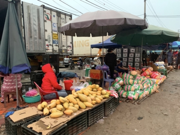 7 Ban Thao Hang Chuc Tan Mit Dua Hau Thanh Long Gia Re O Le Duong Lang Son