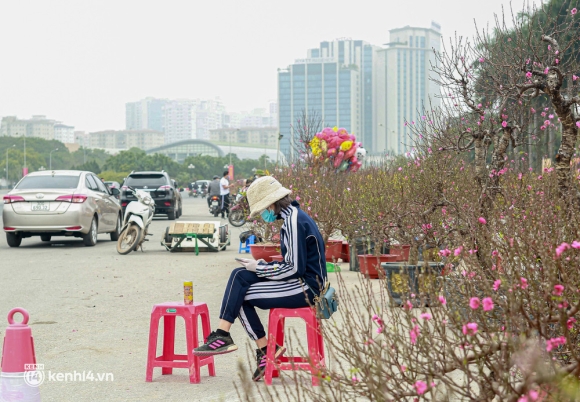 11 Ha Noi Tieu Thuong Giam Nua Gia Nhung Goc Dao Khung Ngay Can Tet Khach Van Ngo Lo