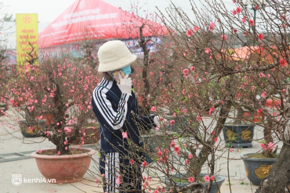 8 Ha Noi Tieu Thuong Giam Nua Gia Nhung Goc Dao Khung Ngay Can Tet Khach Van Ngo Lo