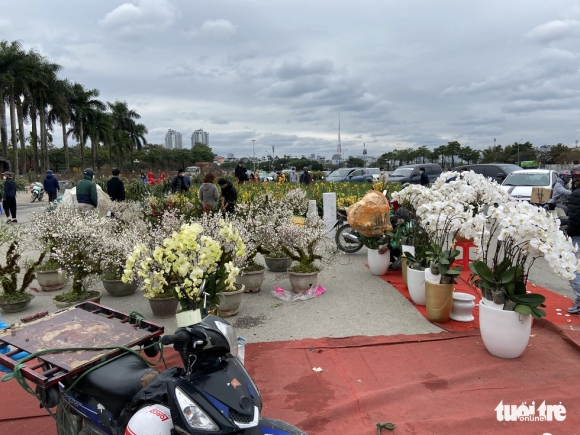 3 Chieu Cuoi Cung Nam Tan Suu Cac Diem Ban Dao Quat Lan O Ha Noi E Khach Hoa Bo Dat Hang