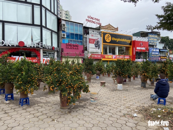 5 Chieu Cuoi Cung Nam Tan Suu Cac Diem Ban Dao Quat Lan O Ha Noi E Khach Hoa Bo Dat Hang