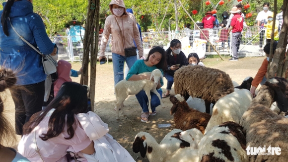 2 An Giang Khu Du Lich Tang Gia Ve Gap Doi Dip Tet Vi Thay Hut Khach