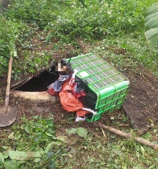 1 Dien Bien Moi Vu Chu No Di Doi Tien Bi Sat Hai Roi Giau Trong Gio Nhua O Ham Biogas
