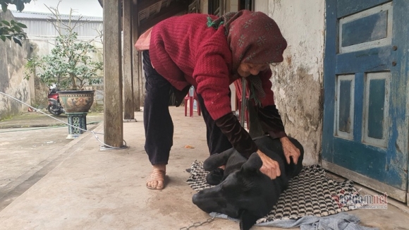 5 Cu Ba Hanh Phuc Nhat Viet Nam 108 Tuoi Co 114 Chau Chat