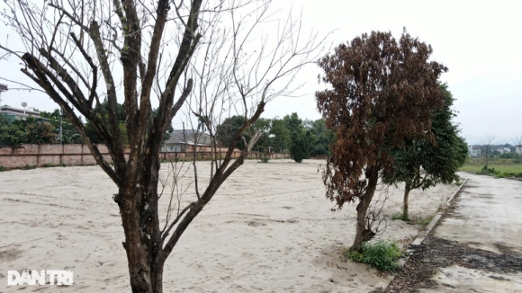 13 Can Canh Hang Loat Khu Dat Phan Lo Ban Nen Tien Ty Bo Hoang O Ven Do