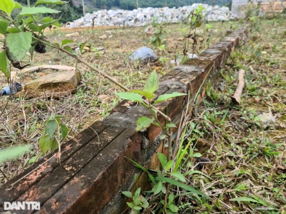 5 Can Canh Hang Loat Khu Dat Phan Lo Ban Nen Tien Ty Bo Hoang O Ven Do