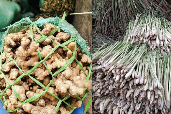 2 Chi Hai Gio Ban Veo 4 Ta Gung Sa Re Lam Ba Con Thoai Mai Xong
