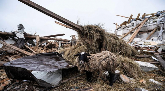 5 Ukraine Tan Hoang Sau 7 Ngay Chien Su