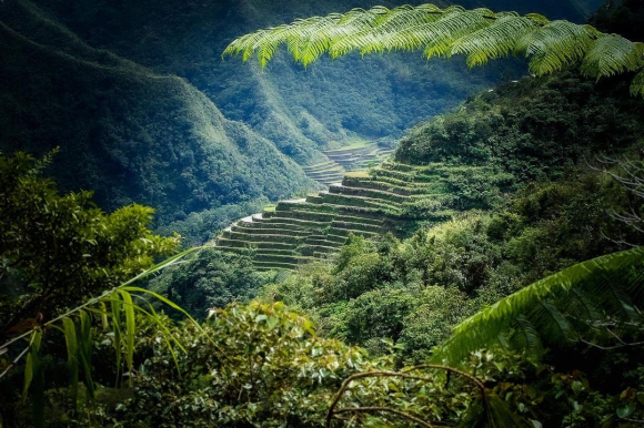 9 Vinh Ha Long La Noi Phai Den Mot Lan Trong Doi