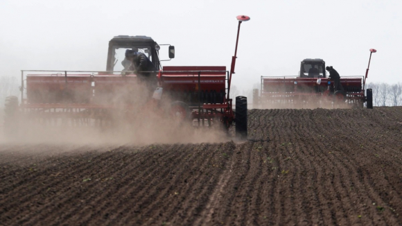 2 Co Gi Dac Biet Ve Vang Den Cua Ukraine