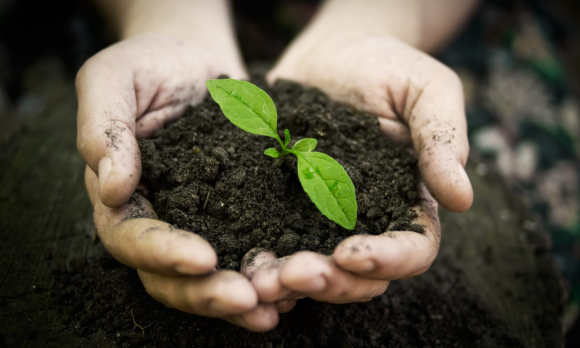 5 Co Gi Dac Biet Ve Vang Den Cua Ukraine