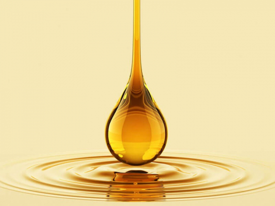 1 Xung Dot Nga Ukraine Khung Hoang Thieu Dau Huong Duong Nguy Hiem Nhu Thieu Dau Mo