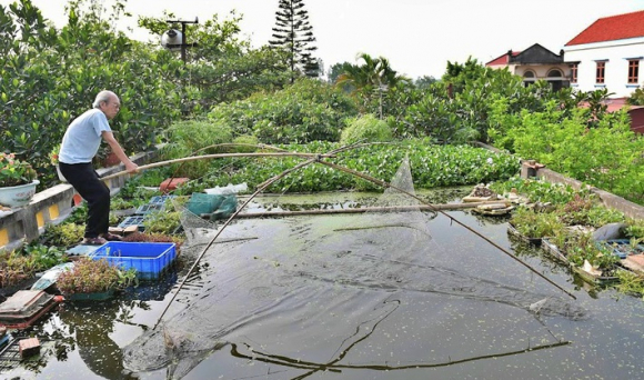 3 Cu Ong 87 Tuoi Chiu Choi Mang Ca Cai Ao Dat Tren Mai Nha Roi Trong Rau Nuoi Ca Nhieu Nguoi Noi Toi Lieu Linh
