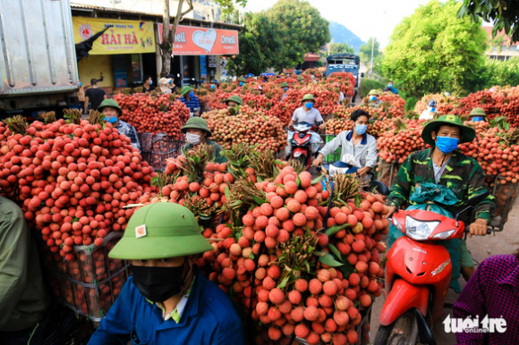 1 Tao Dieu Kien Cho Cac Doanh Nghiep Thuong Nhan Trung Quoc Thu Mua Vai Thieu Tai Bac Giang