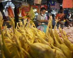 2 Singapore Thieu Thit Ga Doanh Nghiep Viet Nam Co De Tranh Thu Co Hoi