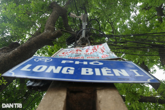 13 Ha Noi Diem Mat 8 Camera Phat Nguoi Tren Cau Long Bien