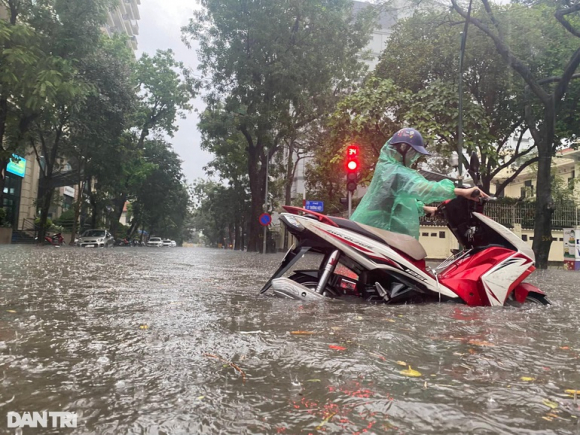 2 Tu Bao Gio Cu Mua To La Lai Ngap Tro Thanh Dac San Cua Ha Noi