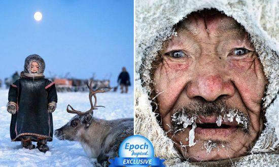 1 Ho La Nhung Nguoi Cuoi Cung Chum Anh Hiem Hoi Ve Nhung Nguoi Chan Tuan Loc O Vung Siberia Bac Cuc Lanh Gia