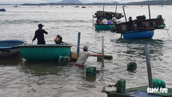 5 Dan Phu Yen Hoi Ha Vot Ca Trieu Con Tom Hum Giong Chay Bao So 4