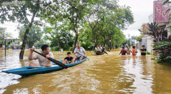 7 Hue Hang Hoa Bi Lu Nhan Chim Tieu Thuong Khoc Nghen