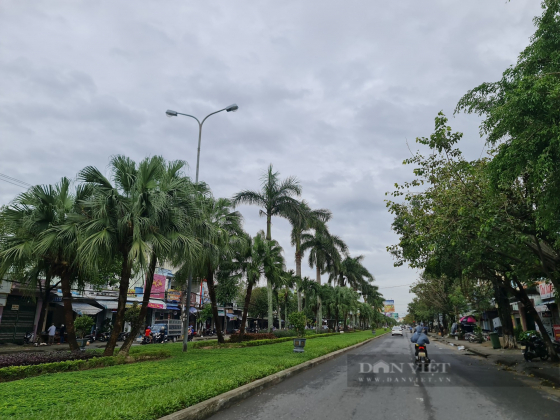 4 Quang Nam Chu Tich Tam Ky Phan Khoi Khi Noi Ve Du An Duong Hon 5km Voi Von 450 Ty Dong