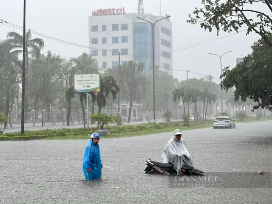 8 Quang Nam Chu Tich Tam Ky Phan Khoi Khi Noi Ve Du An Duong Hon 5km Voi Von 450 Ty Dong