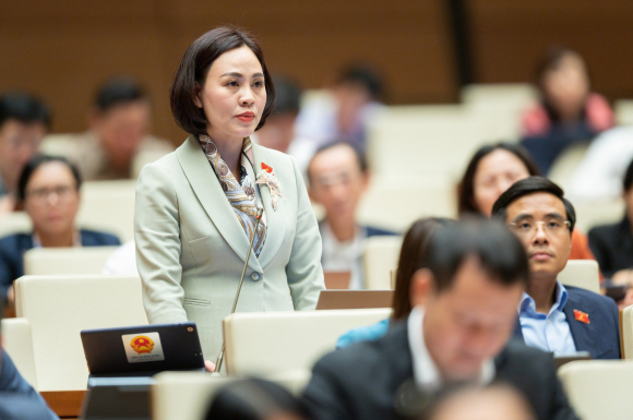 1 Dai Bieu De Nghi Ra Soat Bang Tien Si Thac Si Cua Can Bo Trung Cao Cap