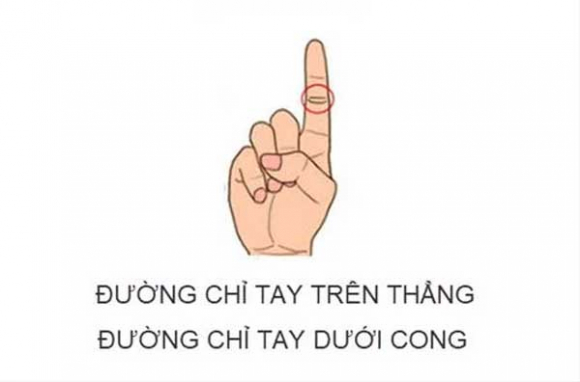 2 Bo Ra 3 Giay Nhin Duong Chi Tay Ngon Tro Biet Ngay Van Menh Sang Hen