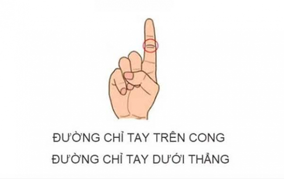 3 Bo Ra 3 Giay Nhin Duong Chi Tay Ngon Tro Biet Ngay Van Menh Sang Hen